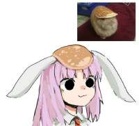 735x667