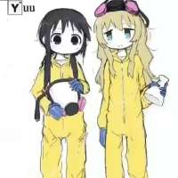736x736