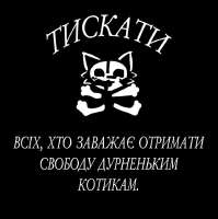 736x739