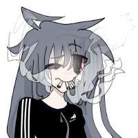 736x736
