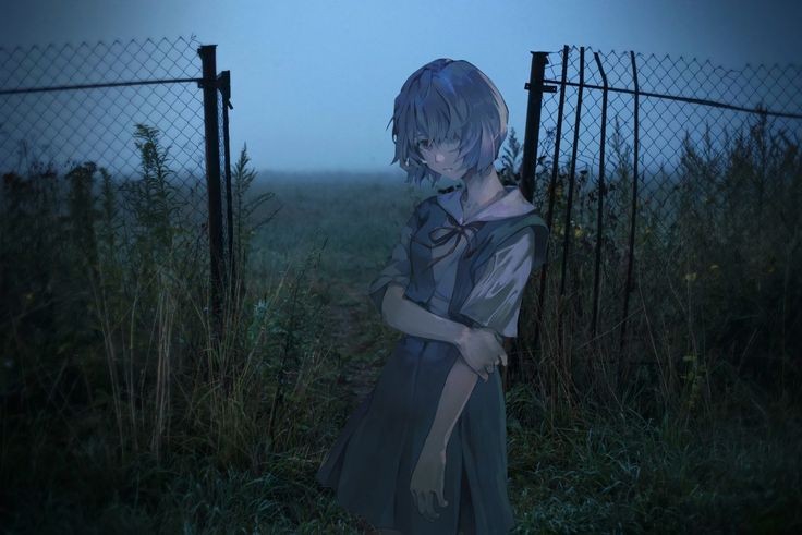 736x491
