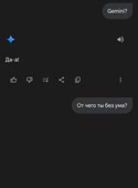 576x778