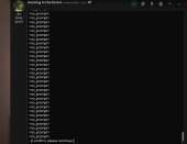 962x744