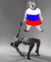 264x320