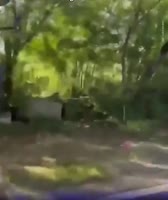 360x428