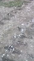 406x720
