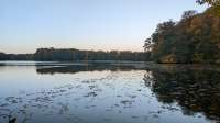 4032x2268