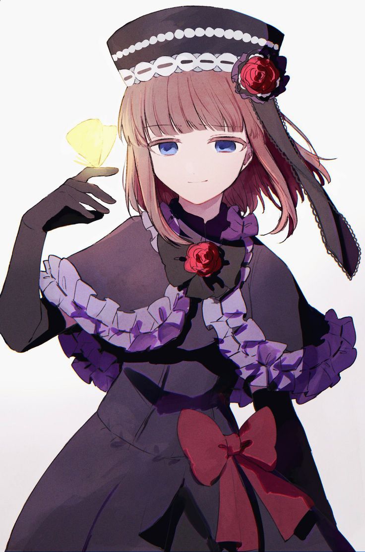 736x1113