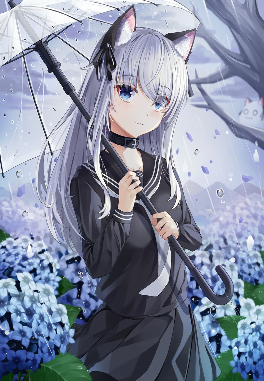 850x1228
