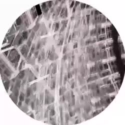 400x400
