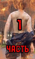 540x888
