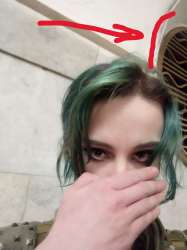 960x1280
