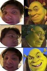 430x645