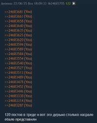 409x513