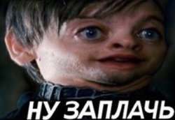 383x265
