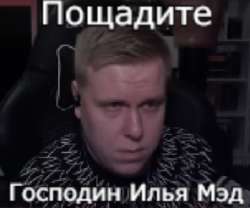 454x379