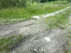 480x360
