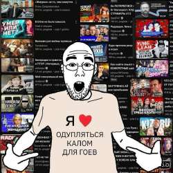736x736