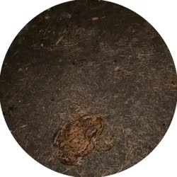 400x400
