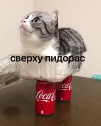 640x800