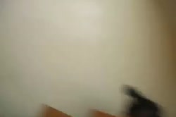 480x320