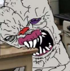 308x312