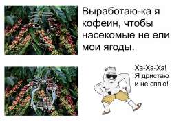 1280x927