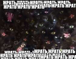 962x746