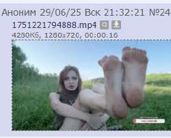 262x212