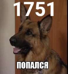 328x354