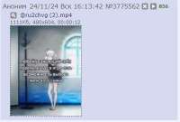 397x269