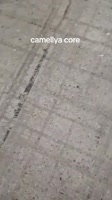360x640