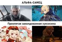 1431x978