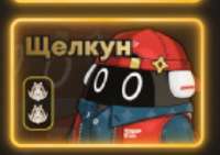 339x239