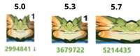 1210x490