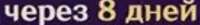 796x103