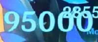 238x103