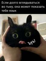 825x1080