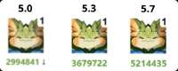 732x296