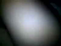 320x240