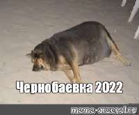 259x214