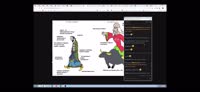 1920x888