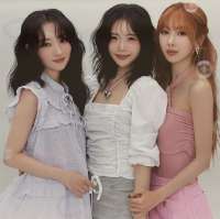 736x735