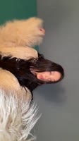 720x1280
