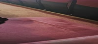 2388x1080
