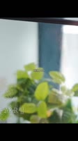 576x1024