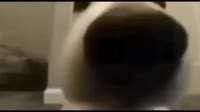 1280x720