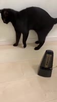 540x960