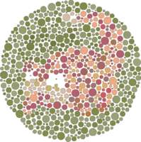 199x200