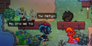 492x246